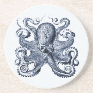 Navy Blue Octopus illustration by Ernst Haeckel Coaster