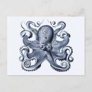 Navy Blue Octopus illustration by Ernst Haeckel Postcard