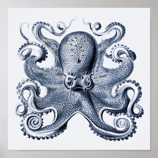 Navy Blue Octopus illustration by Ernst Haeckel Poster (Front)