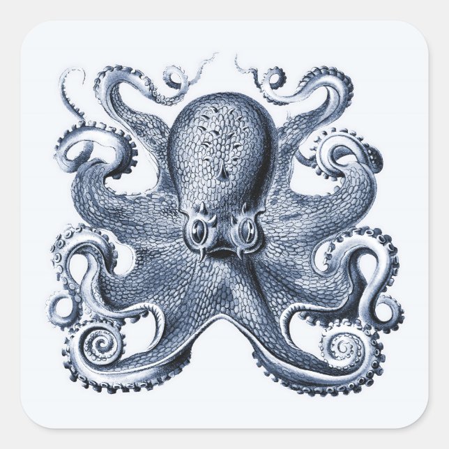 Navy Blue Octopus illustration by Ernst Haeckel Square Sticker (Front)