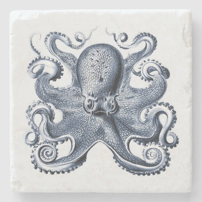 Navy Blue Octopus illustration by Ernst Haeckel Stone Coaster (Front)