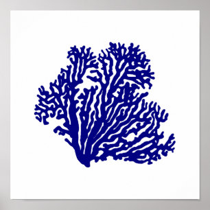 Navy Blue On White Coastal Decor Coral