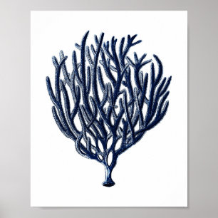 Navy Blue Sea Coral Beach Wall Decor