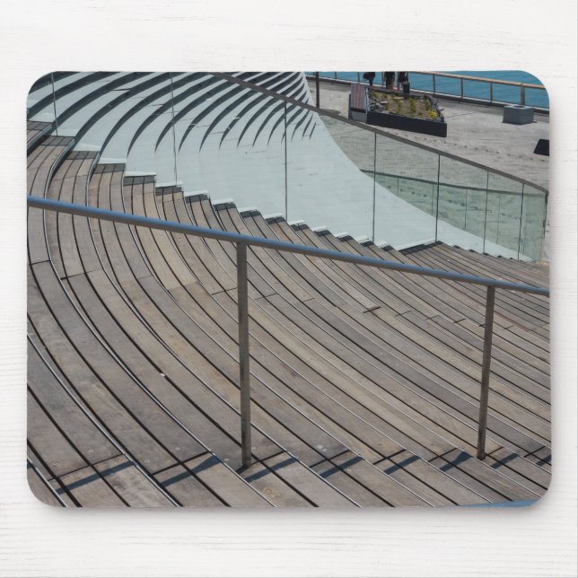Navy Pier Stairs Mouse Pad (Front)