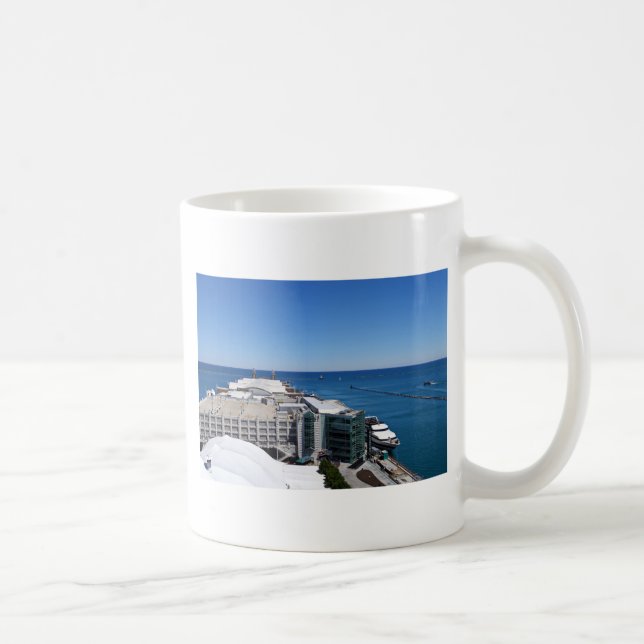 Navy Pier View.JPG Coffee Mug (Right)