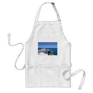 Navy Pier View.JPG Standard Apron
