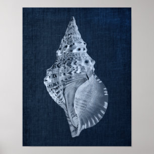 Navy Seashell Decor for Beach Bathroom or Bedroom