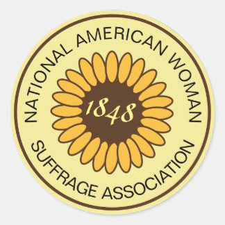 NAWSA Suffrage historic button women's vote Classic Round Sticker