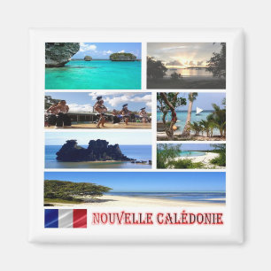 NC - New Caledonia - mosaic collage Magnet