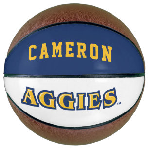 NCA&T State University Aggies Wordmark Basketball