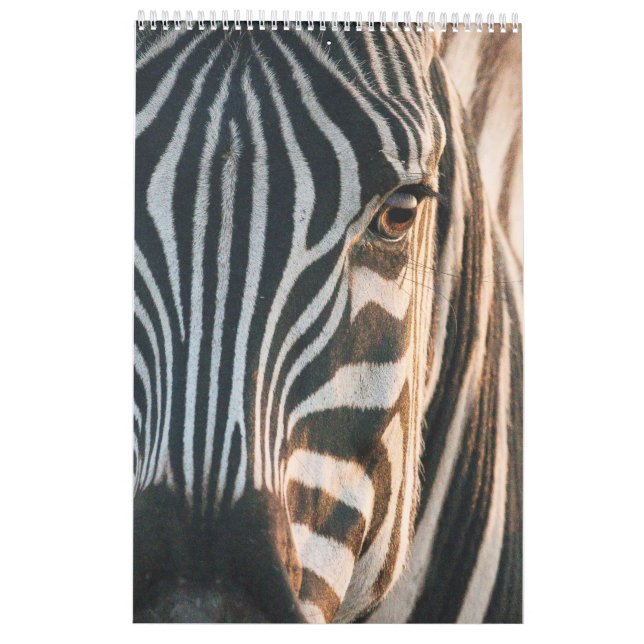 ncounters in Africa's Wild Kingdom, 2024 Calendar, Calendar (Back)