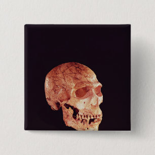 Neanderthal Skull, discovered on Mt Carmel 15 Cm Square Badge