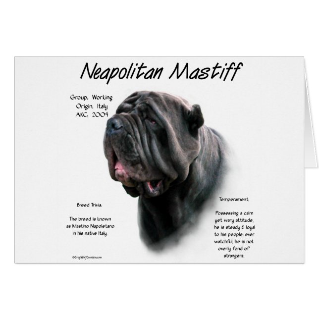 Neapolitan Mastiff (blk) History Design (Front Horizontal)