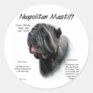 Neapolitan Mastiff (blk) History Design Classic Round Sticker
