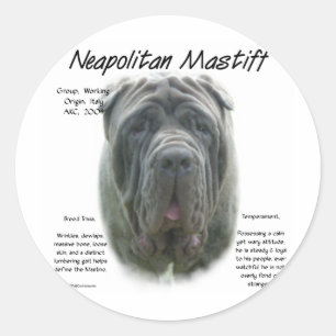 Neapolitan Mastiff (grey) History Design Classic Round Sticker