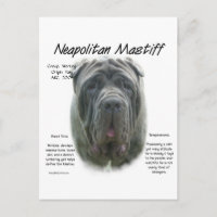 Neapolitan Mastiff (grey) History Design