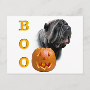 Neapolitan Mastiff Halloween Boo Postcard