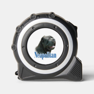 Neapolitan Mastiff; Mastino Napoletano; Neo 1