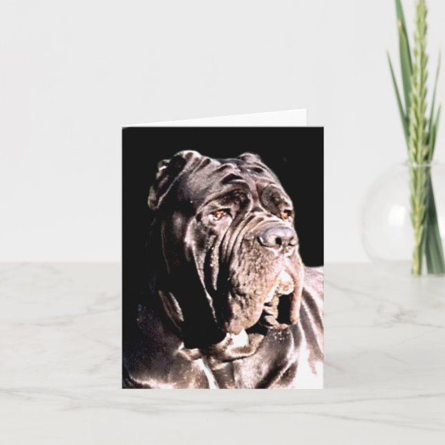 Neapolitan mastiff notecard (Front)