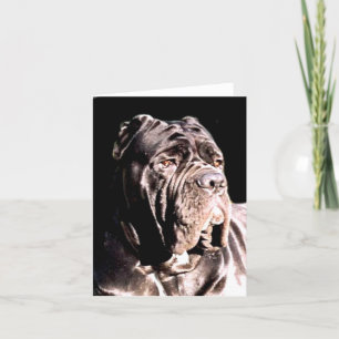 Neapolitan mastiff notecard