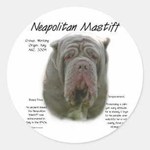 Neapolitan Mastiff (tawny) History Design Classic Round Sticker