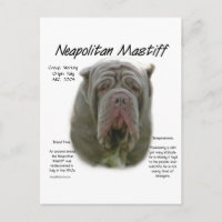 Neapolitan Mastiff (tawny) History Design