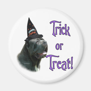 Neapolitan Mastiff Trick Magnet