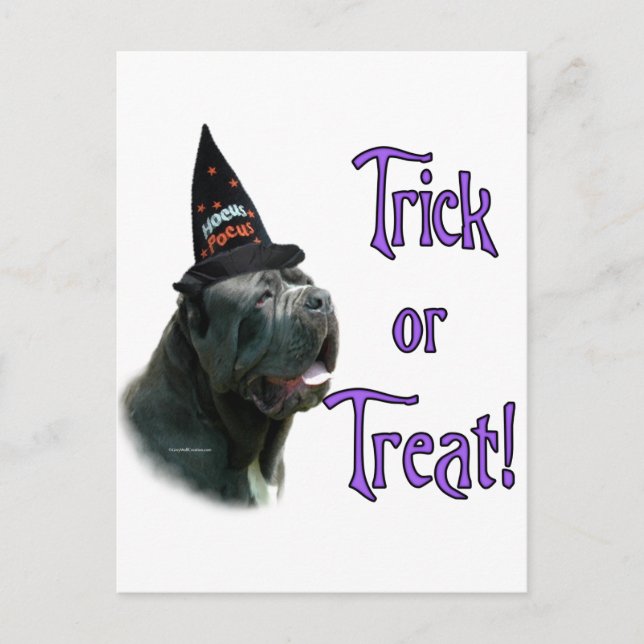 Neapolitan Mastiff Trick Postcard (Front)