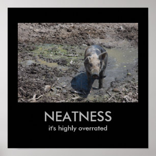 NEATNESS: it's highly overrated Poster