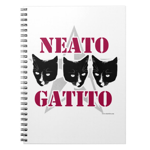 neato cat