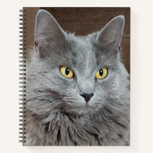 Nebelung Long-Haired Russian Blue Cat Notebook