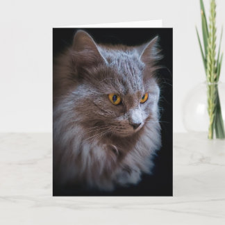 Nebelung Long-Haired Russian Blue Cat Portrait Card
