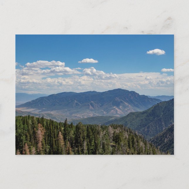 Nebo Loop in July Postcard (Front)