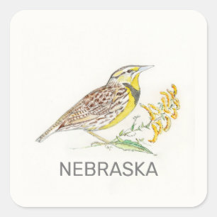 Nebraska bird and flower square sticker