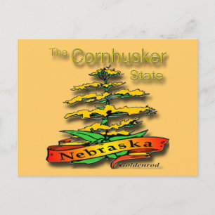 Nebraska Cornhusker State Goldenrod Postcard