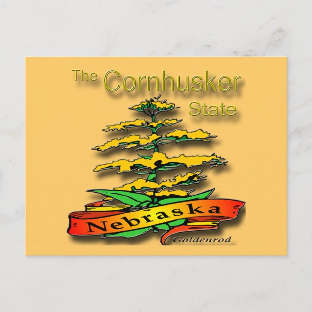 Nebraska Cornhusker State Goldenrod Postcard (Front)