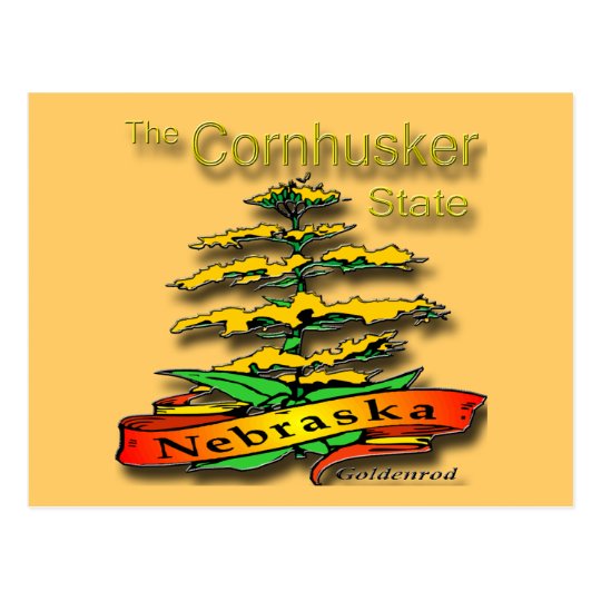 Nebraska Cornhusker State Goldenrod Postcard