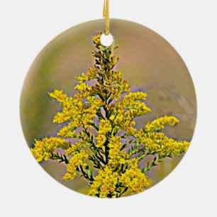 Nebraska Goldenrod Ceramic Ornament