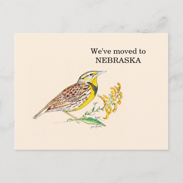 Nebraska Postcard (Front)