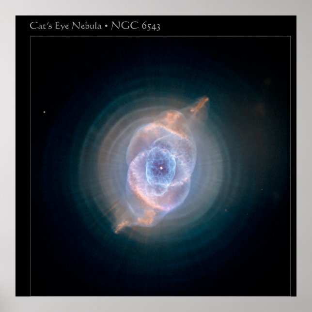 Nebula Poster (Front)