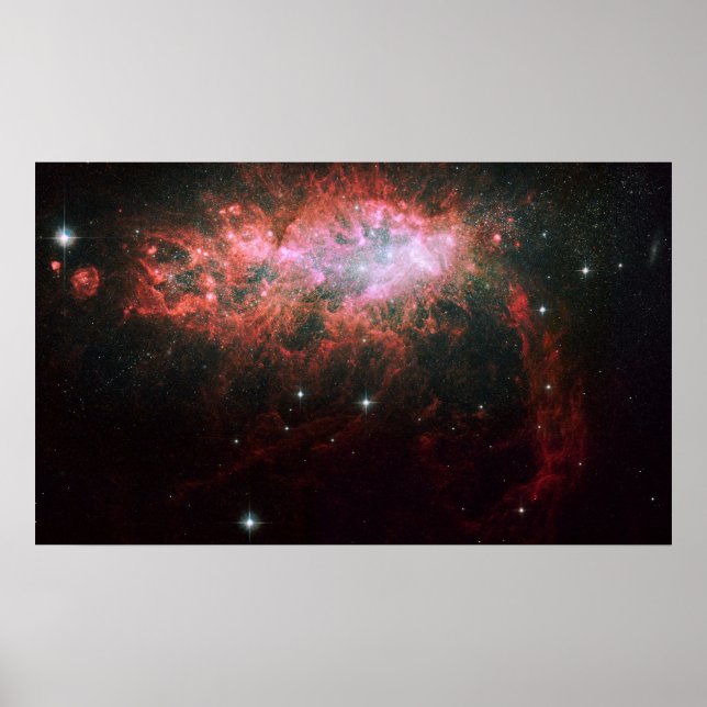 Nebula Poster (Front)