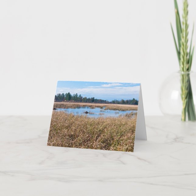 necedah sedge meadow wetlands and forest thank you card (Front)