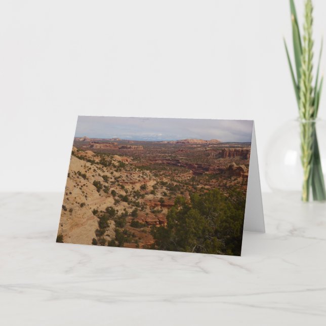 Neck Springs Trail at Canyonlands National Park Card (Front)
