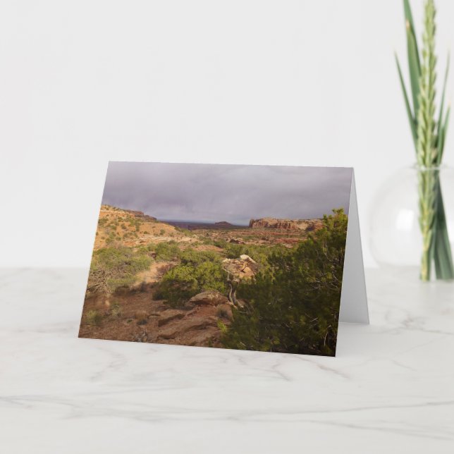 Neck Springs Trail at Canyonlands National Park Card (Front)