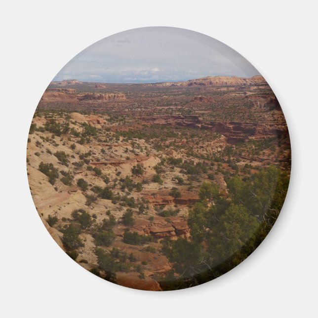 Neck Springs Trail at Canyonlands National Park Magnet (Front)