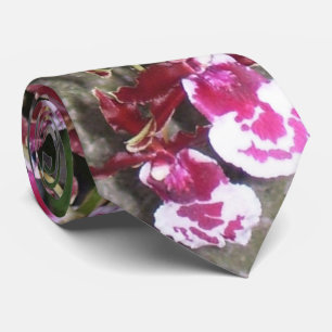 Necktie - Tolumnia Jairak Rainbow Orchid