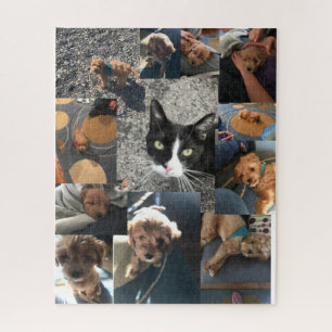 Neco & nutmeg jigsaw puzzle