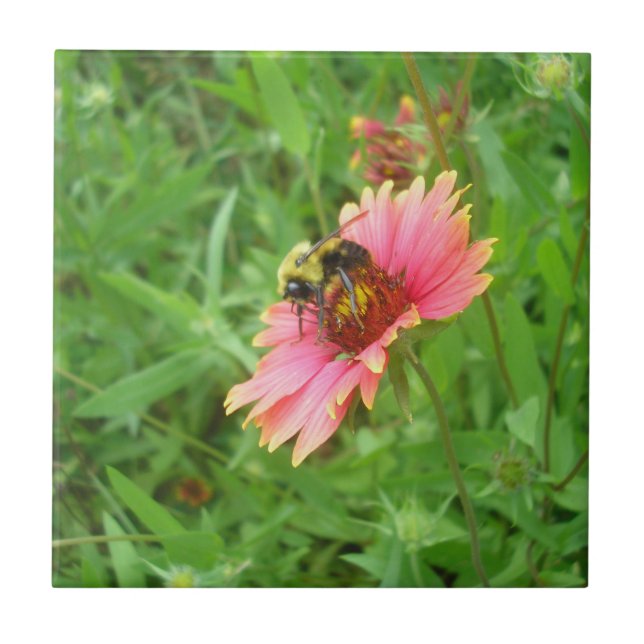 Nectar of Life Ceramic Tile (Front)