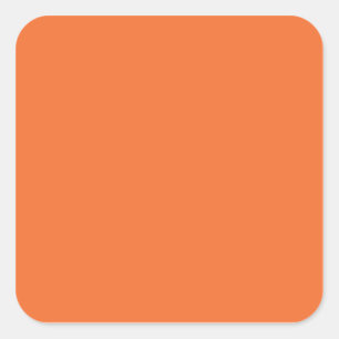 Nectarine Orange Trend Colour Customised Template Square Sticker