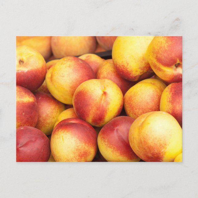 Nectarines background postcard (Front)